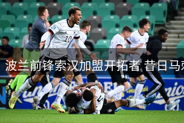 波兰前锋索汉加盟开拓者 昔日马刺新秀能否重现光芒？