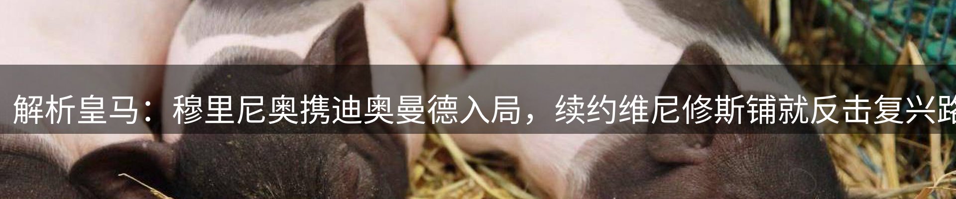 资讯动态